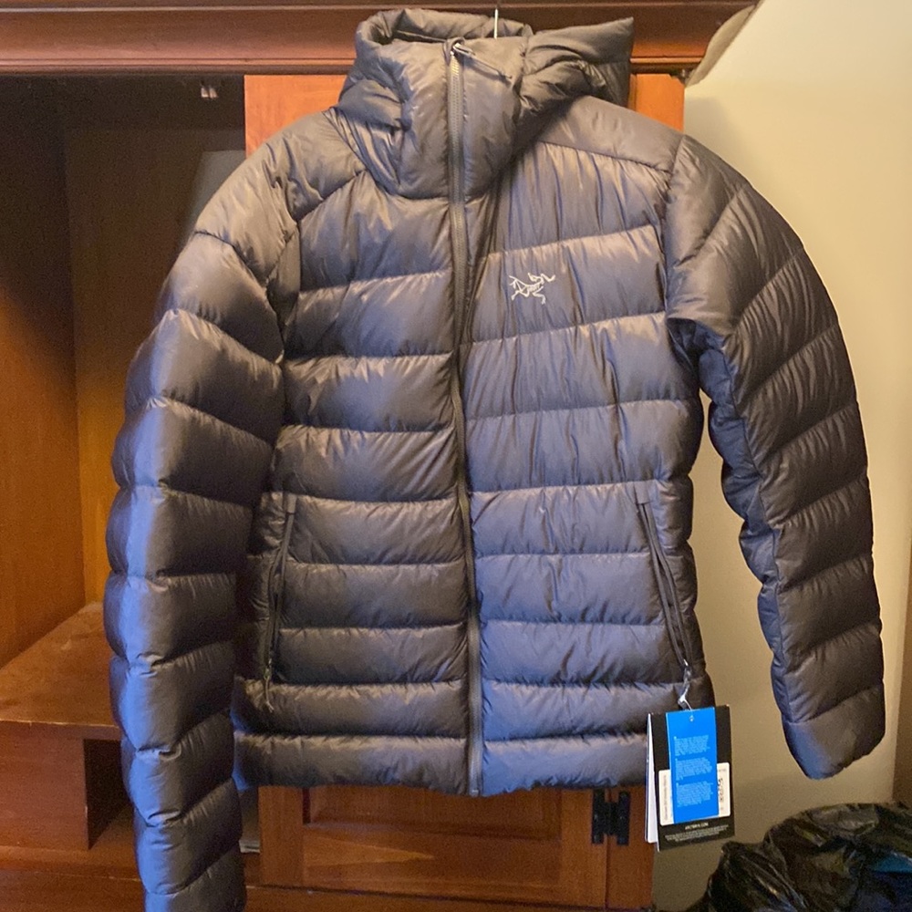 Arc’teryx Cerium L (Color Pilot). With Hood